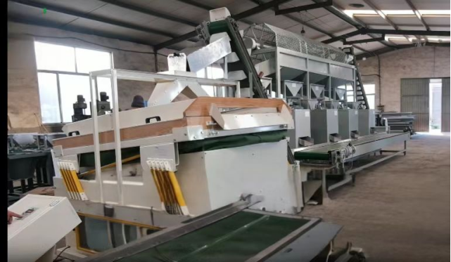 核桃夏威夷果脱壳线