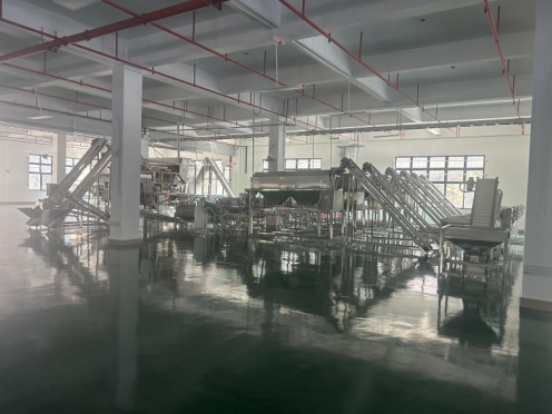 腰果脱皮生产线