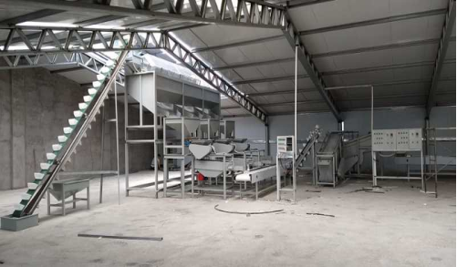 杏核榛子巴旦木开壳烘烤线