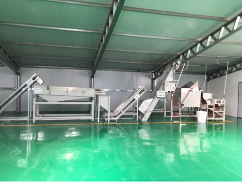 杏核榛子巴旦木开壳烘烤线