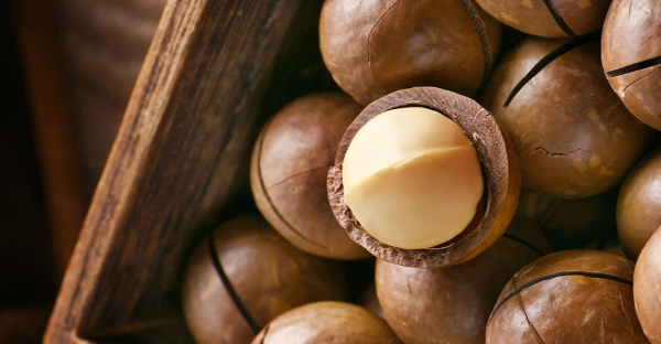 核桃、夏威夷果系列