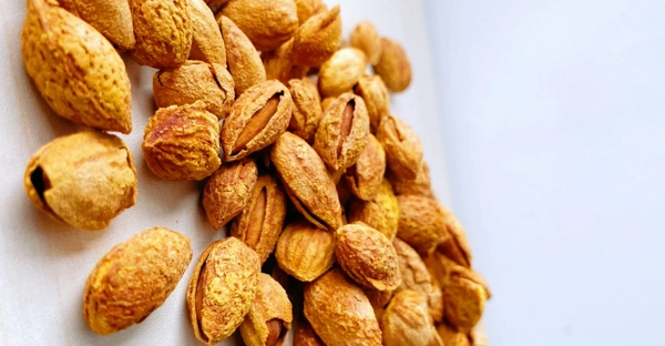 杏核榛子巴旦木设备